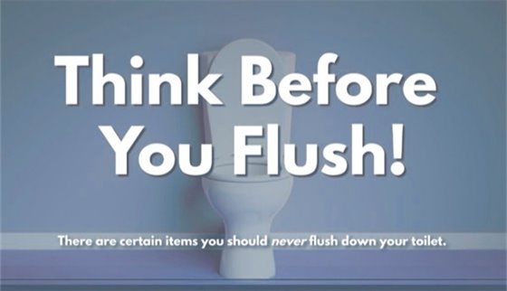 think before you flush