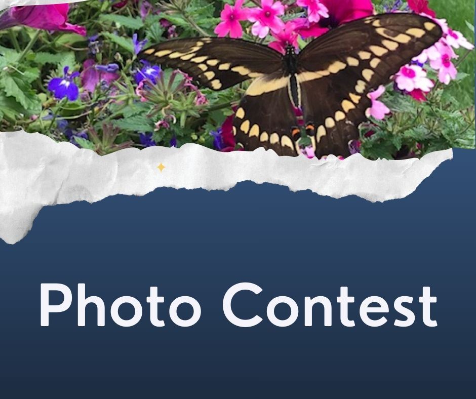 Photo Contest 2025 (4)