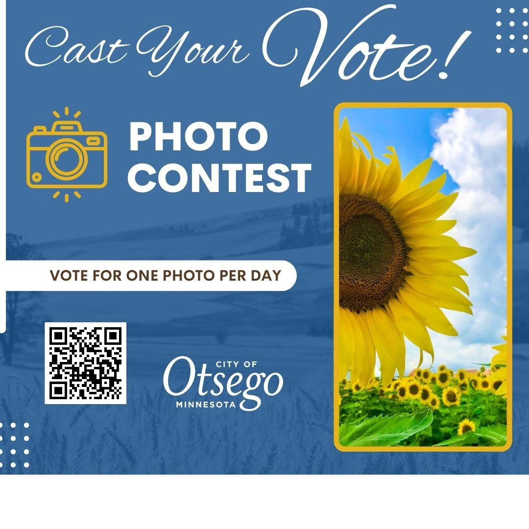 photo contest voting (1)