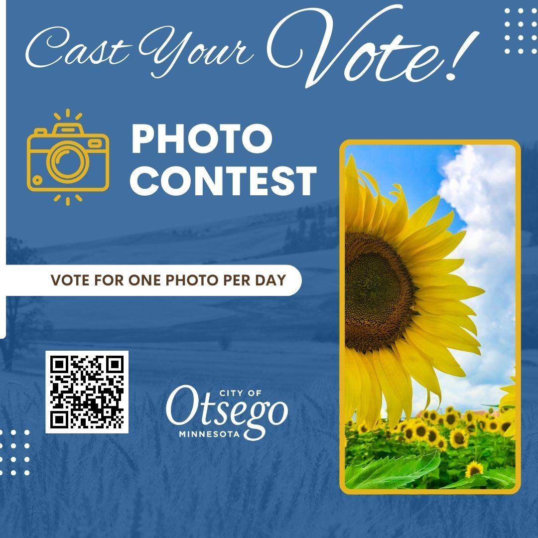 photo contest voting (2)