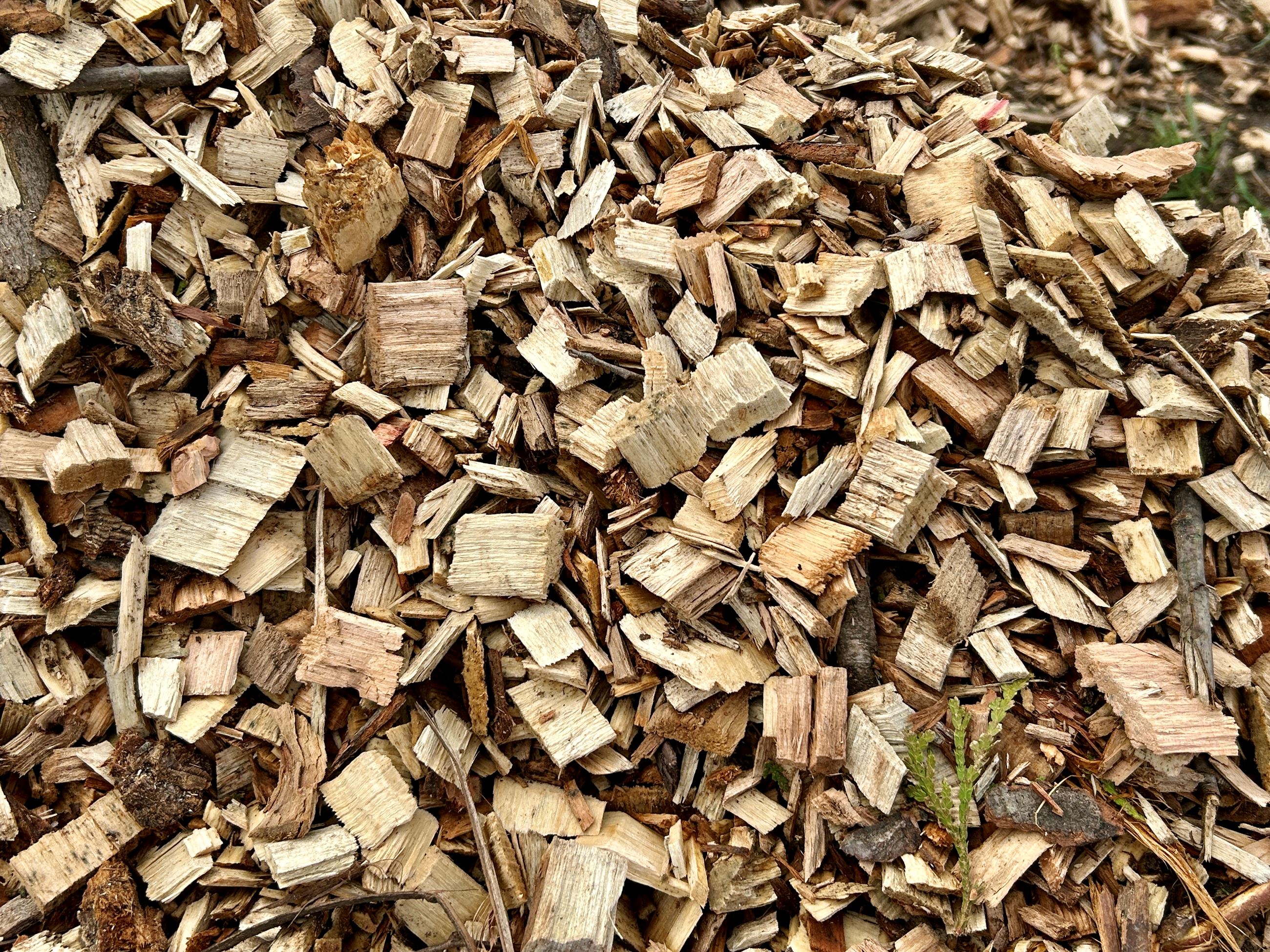 woodchips2